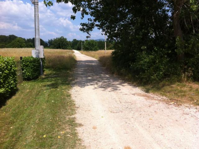 2013_Main_Road_of_Camp.jpg